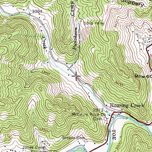 Topographic Map of Puncheon Camp Branch, NC