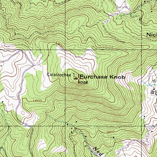 Topographic Map of Purchase Knob, NC