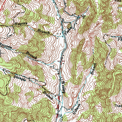 Topographic Map of Raccoon Branch, NC