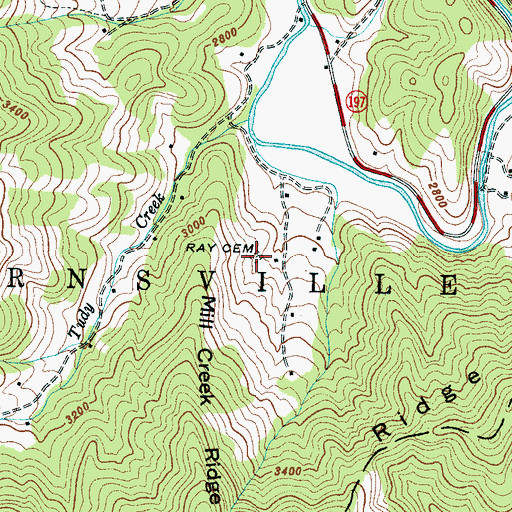 Topographic Map of Ray Cemetery, NC