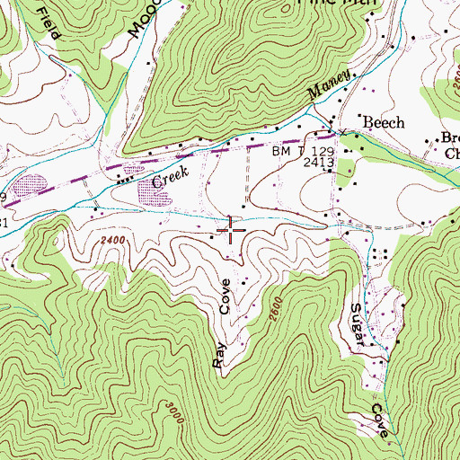 Topographic Map of Ray Cove, NC