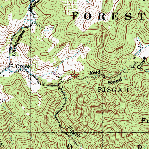 Topographic Map of Reed Cove, NC