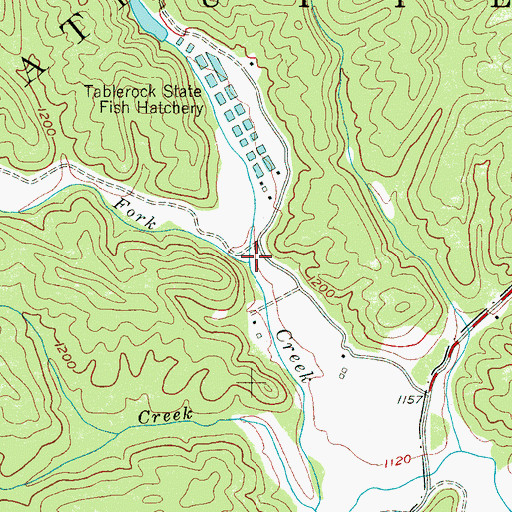 Topographic Map of Reedys Fork, NC