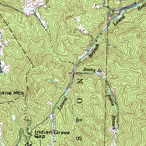 Topographic Map of Reeny Branch, NC