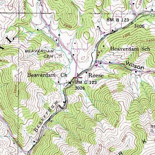 Topographic Map of Reese, NC