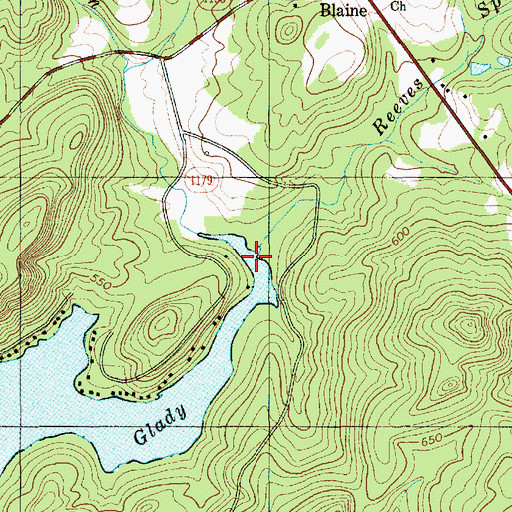 Topographic Map of Reeves Spring Branch, NC