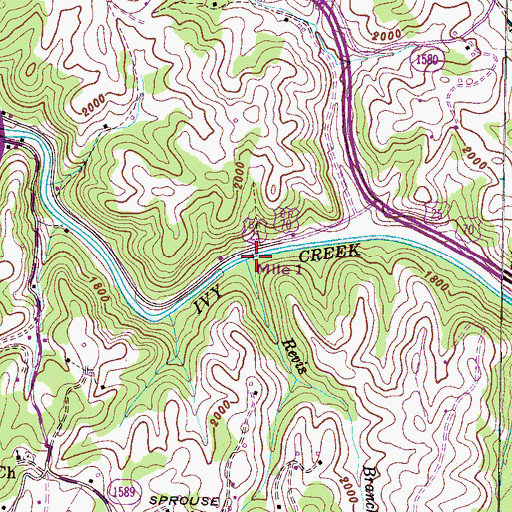 Topographic Map of Revis Branch, NC