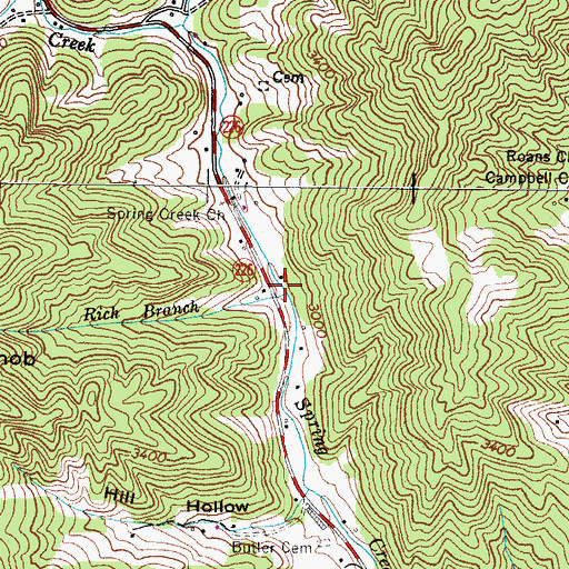 Topographic Map of Rich Branch, NC