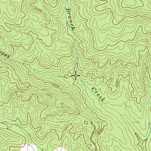 Topographic Map of Rich Cove Branch, NC
