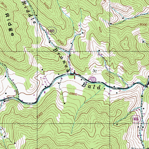 Topographic Map of Riddle Branch, NC