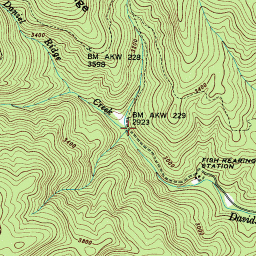 Topographic Map of Right Fork Davidson River, NC