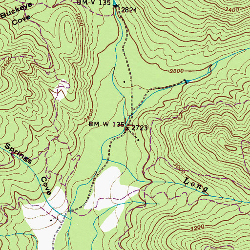 Topographic Map of Right Fork Swannanoa River, NC