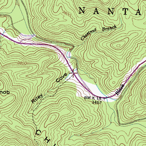 Topographic Map of Riley Cove, NC