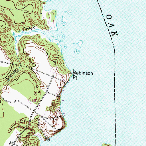Topographic Map of Robinson Point, NC