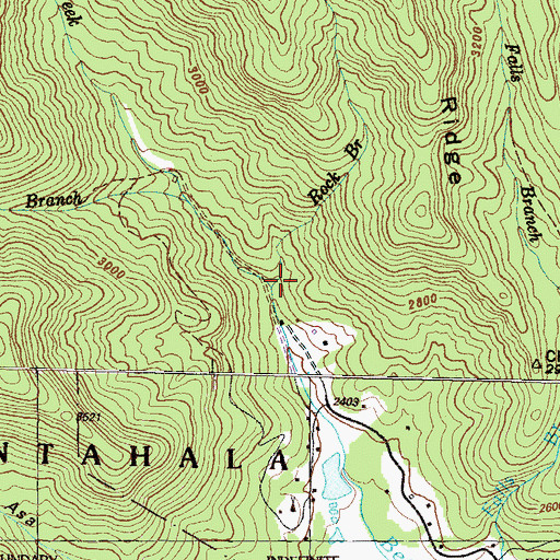 Topographic Map of Rock Branch, NC