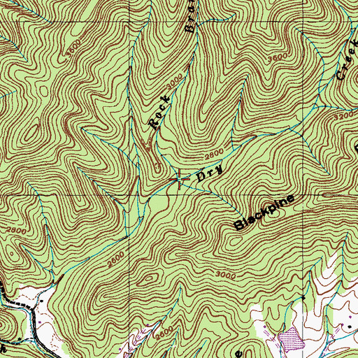 Topographic Map of Rock Branch, NC