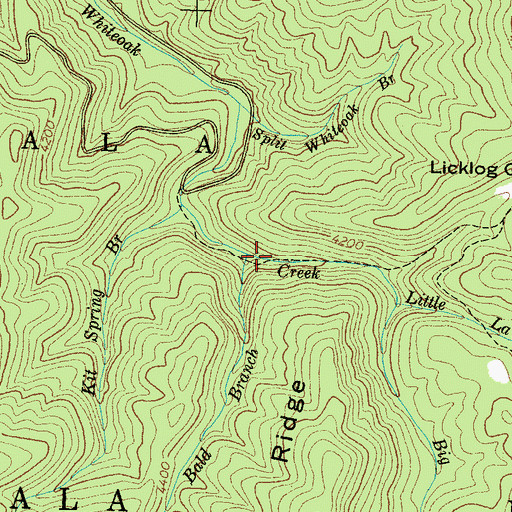 Topographic Map of Rocky Bald Branch, NC