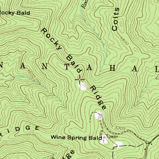 Topographic Map of Rocky Bald Ridge, NC