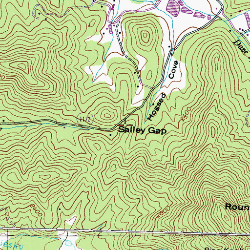 Topographic Map of Salley Gap, NC