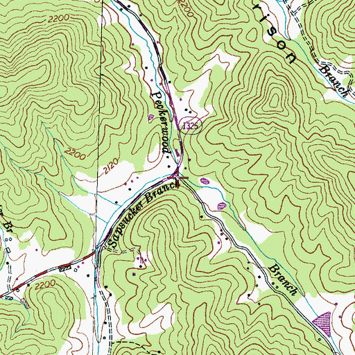 Topographic Map of Sapsucker Branch, NC