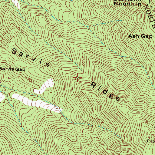 Topographic Map of Sarvis Ridge, NC