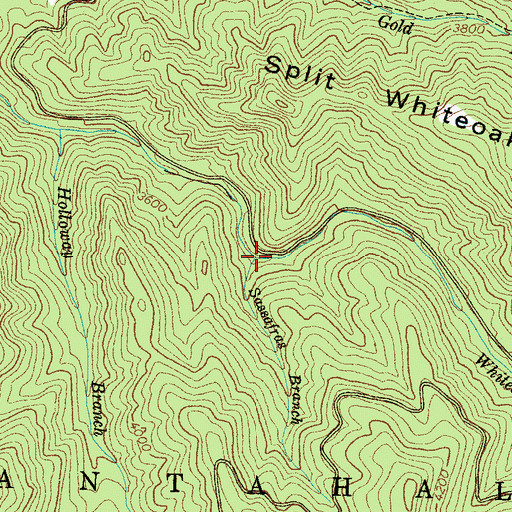 Topographic Map of Sassafras Branch, NC