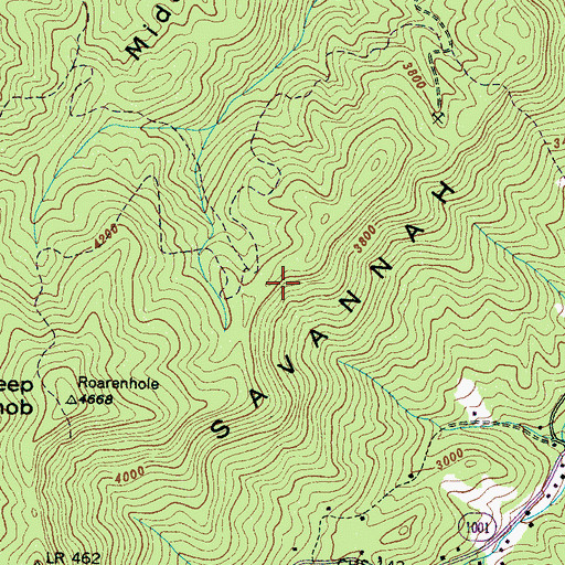 Topographic Map of Savannah Ridge, NC