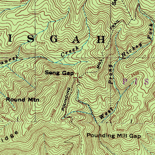 Topographic Map of Seng Gap, NC