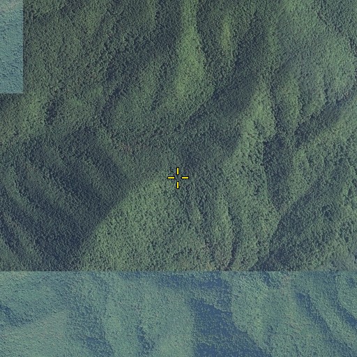 Aerial/Satellite Image of Seng Gap, NC