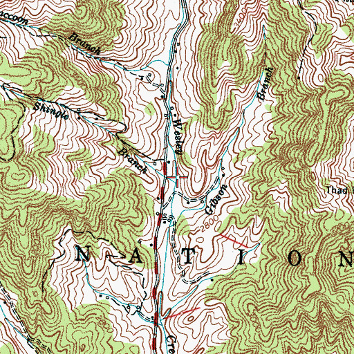 Topographic Map of Shingle Branch, NC