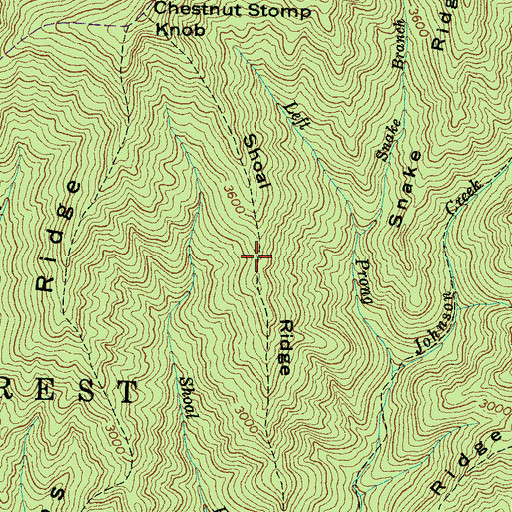 Topographic Map of Shoal Ridge, NC