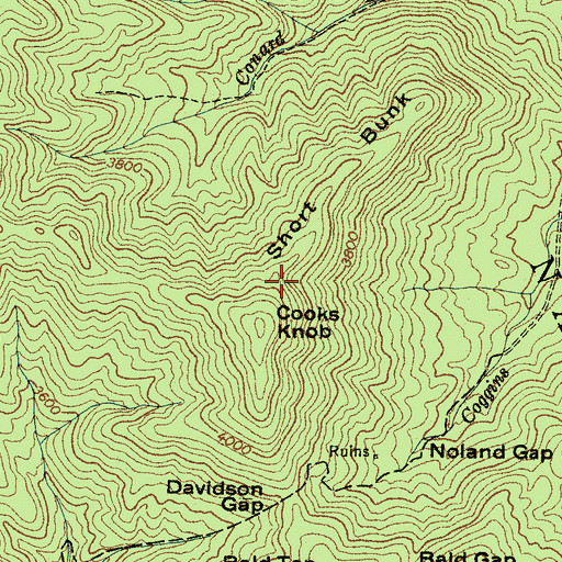 Topographic Map of Short Bunk, NC
