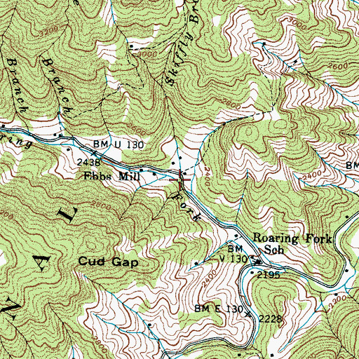 Topographic Map of Skiffly Branch, NC