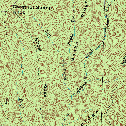 Topographic Map of Snake Branch, NC
