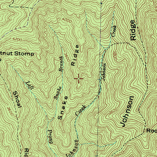 Topographic Map of Snake Ridge, NC