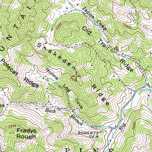 Topographic Map of Snakeden Ridge, NC