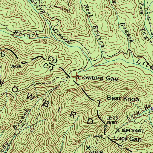 Topographic Map of Snowbird Gap, NC