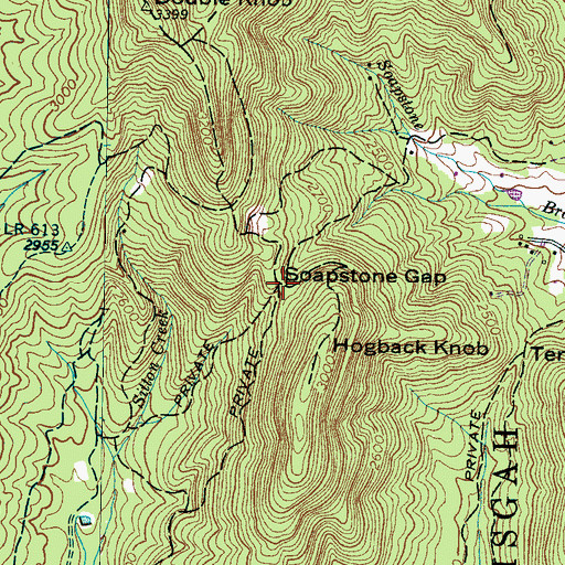 Topographic Map of Soapstone Gap, NC