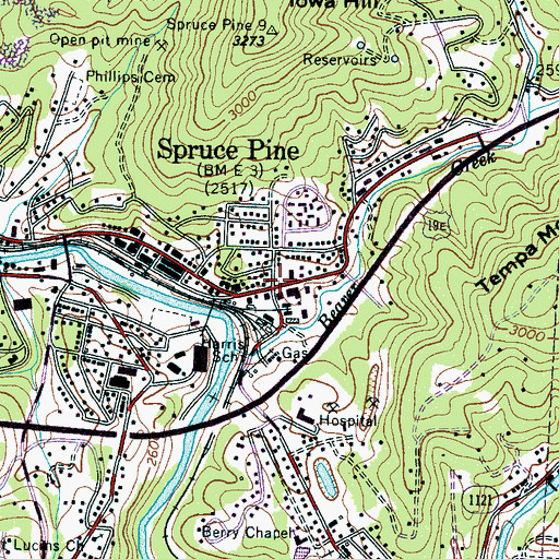 Ford place in spruce pine nc #1