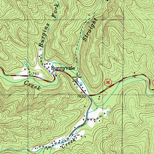 Topographic Map of Straight Branch, NC