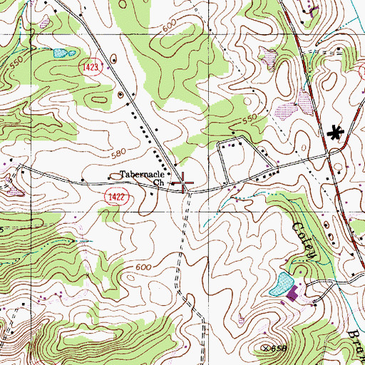 Topographic Map of Tabernacle Church, NC