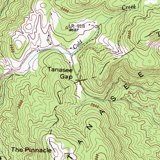 Topographic Map of Tanasee Gap, NC