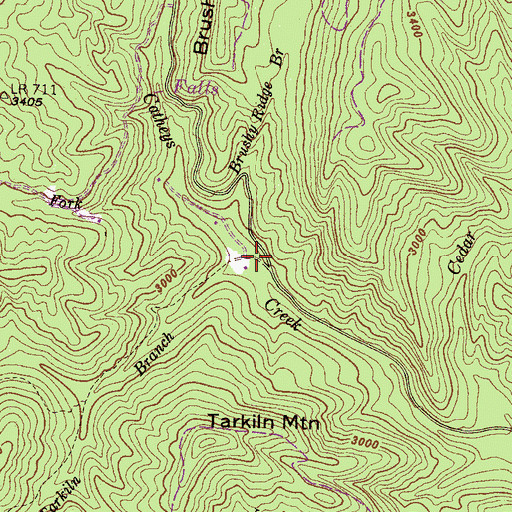 Topographic Map of Tarkiln Branch, NC
