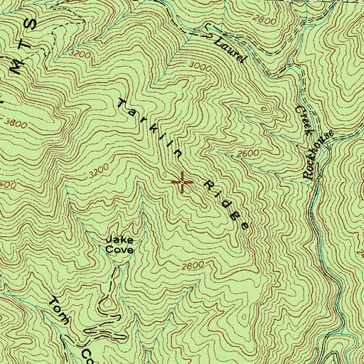 Topographic Map of Tarkiln Ridge, NC