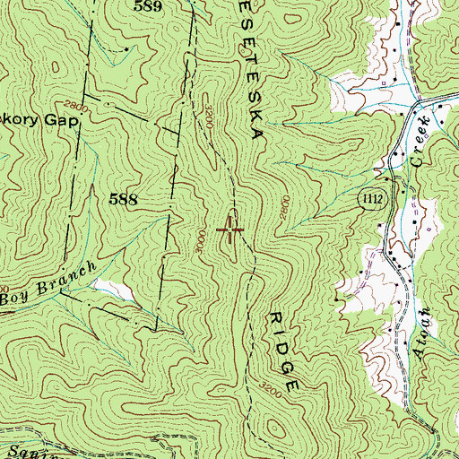 Topographic Map of Teeseteska Ridge, NC