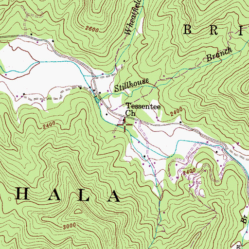 Topographic Map of Tessentee Church, NC