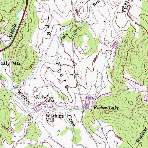 Topographic Map of The Flats, NC