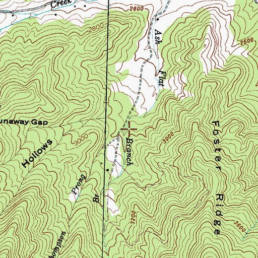 Topographic Map of Thompson Prong, NC