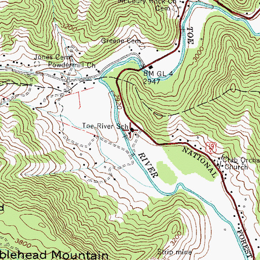 Topographic Map of Toe River School, NC