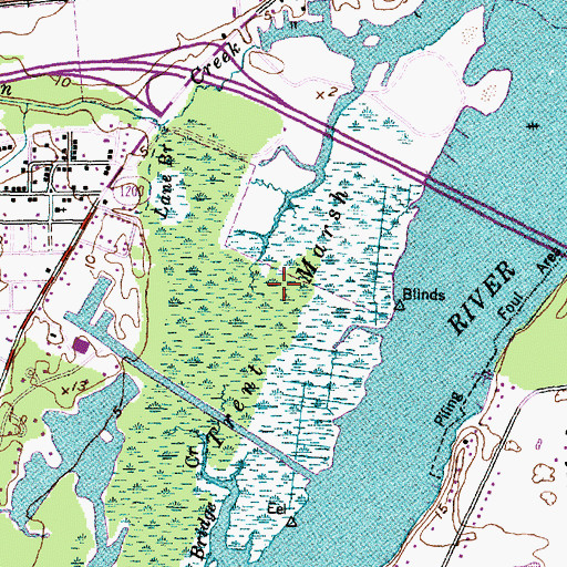 Topographic Map of Trent Marsh, NC